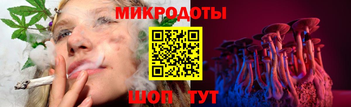 Галлюциногенные грибы Cubensis Вязьма