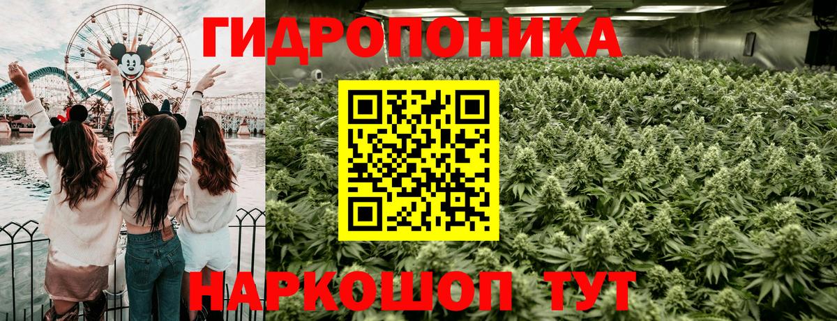 Конопля гибрид Вязьма